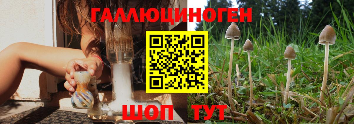 Клинцы  Галлюциногенные грибы мухоморы  Вход с VPN 